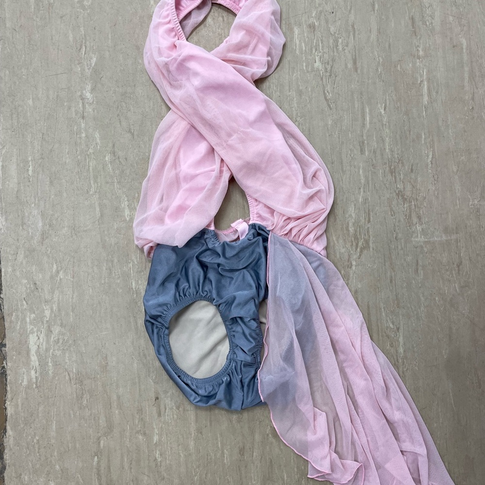 Pink and Gray Custom Dance Costume